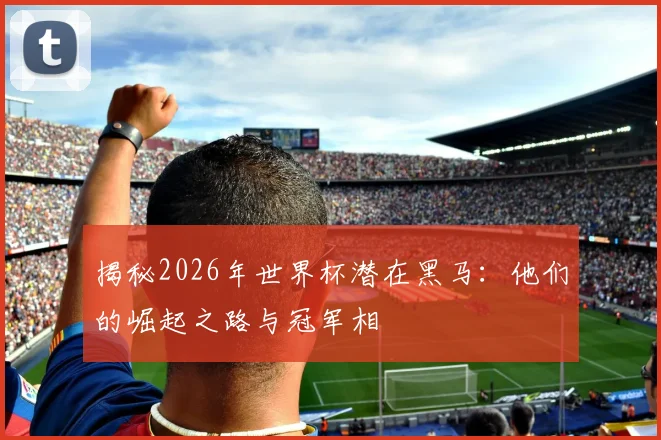 揭秘2026年世界杯潜在黑马：他们的崛起之路与冠军相