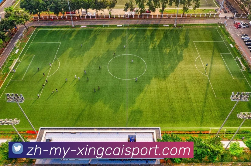 杏彩体育APP 封面图